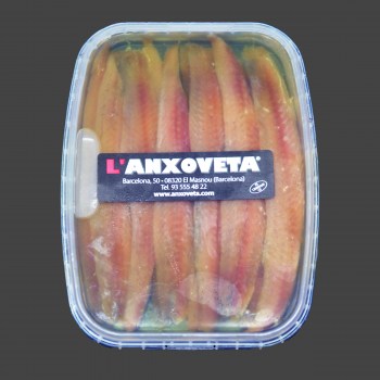 AnchoaCANT_12 00